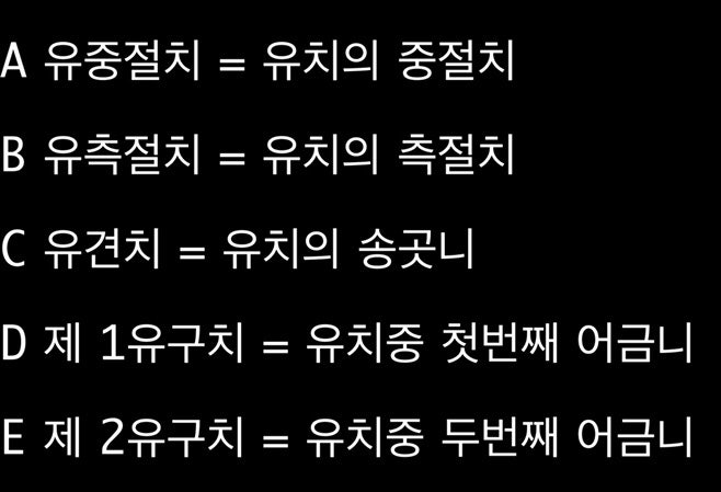 유치갯수, 유치 치아번호를 알아보자 (치과의료사고 예방, 영구치와 유치 혼동 주의 !)