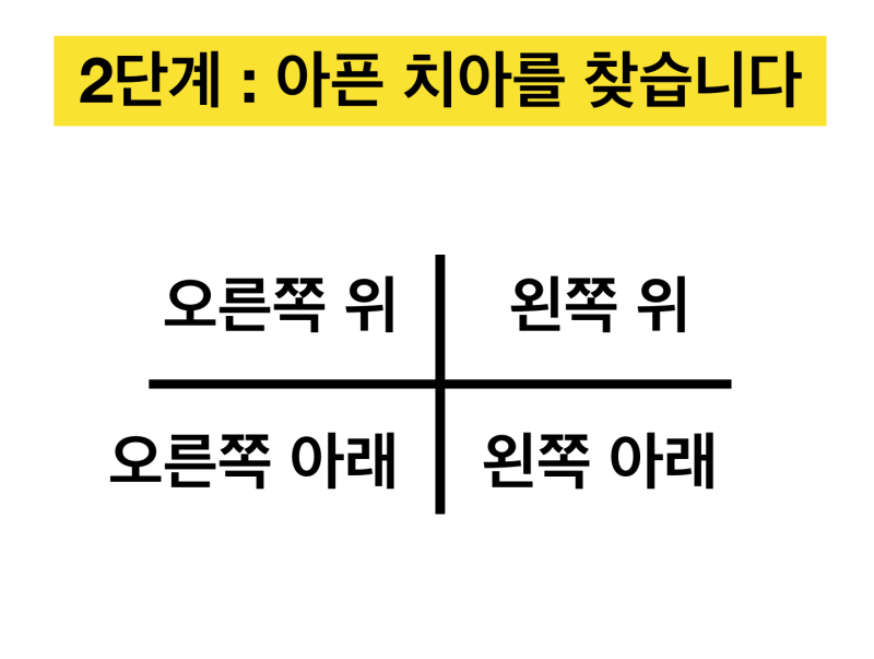 치아번호와 치과의료사고 예방, 정확한 치아 번호를 알아야 하는 이유 사진 3