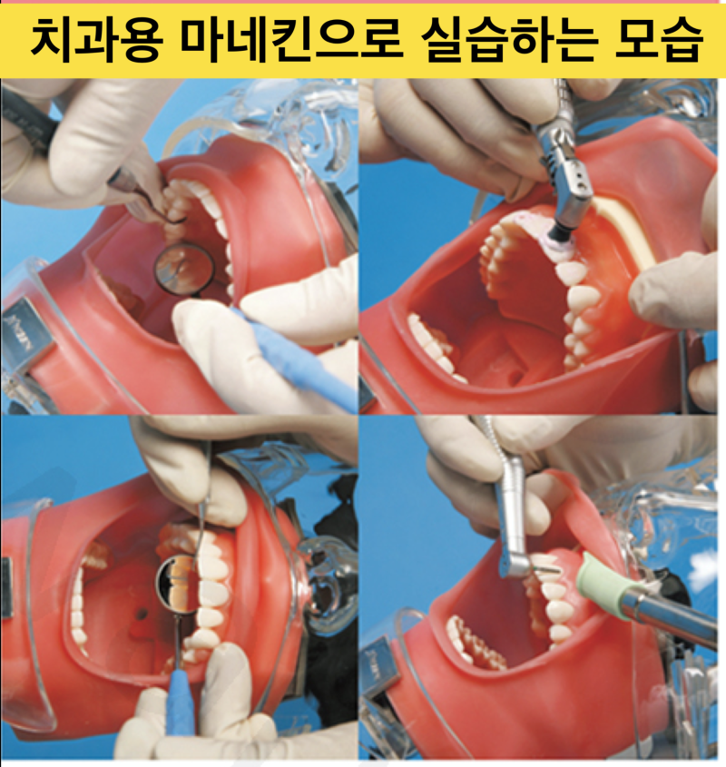 [치과의사 양성과정 소개]치과 치료의 기본 - 안 아프게 마취하는 방법, 무통 마취 교육 과정 소개합니다.