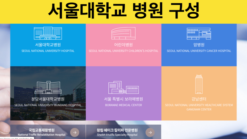 저의 정체성과 분당서울대학교 병원의 정체
