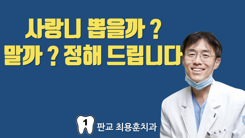 사랑니 질문이 너무 많아서 정리합니다