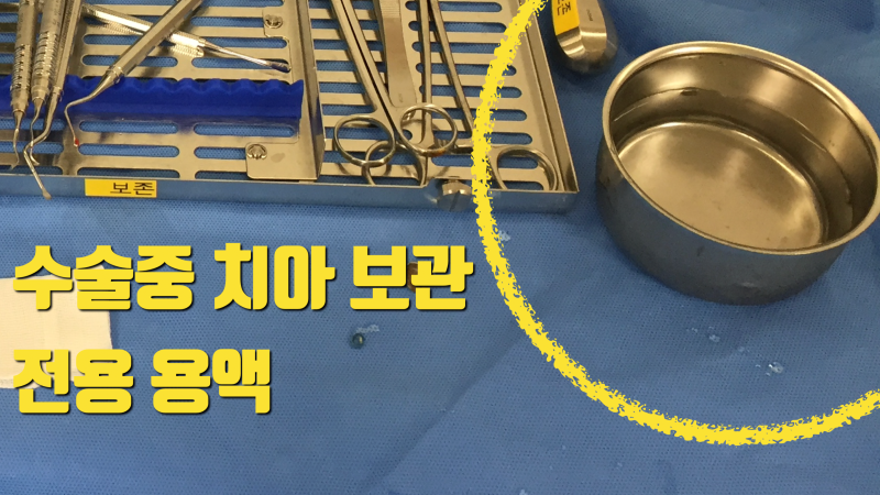 재식술, 사랑니이식 때 전용 용액을 써야 하는 이유 #치아재식술 #치아이식술 #재식술 사진 4