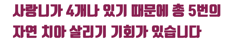 [완전 파절 치아 살리기] 두동강난 치아의 치료 1년 3개월 경과 #재식술 #파절치아 #최용훈원장 사진 5